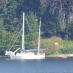 Foreman-Sailboat Foreman-Sailboat