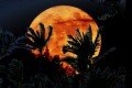 Super-Moon